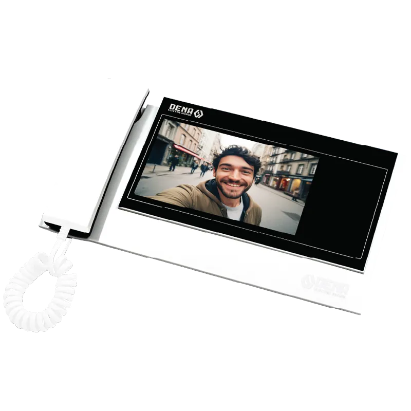 Dena Electric Iranian Mashhad Video Intercom (Manual)