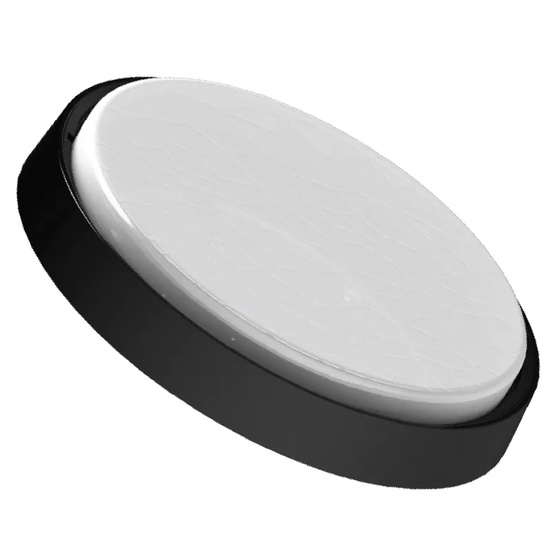Dena Electric Surface-Mounted Ceiling Light – Black